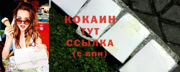 хмурый Инта